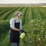 Roundup Granulado Quanto Tempo Leva para Fazer Efeito