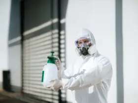 Quanto Tempo Dura o Efeito do Decis