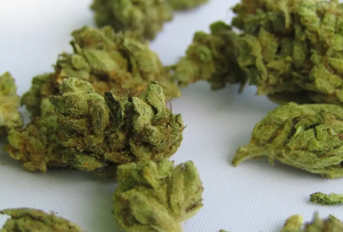 macpnha amnesia haze