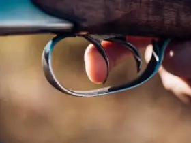 Espingarda calibre 36 é permitido? Entenda as regras, limitações e curiosidades 16 Espingarda 36 custo